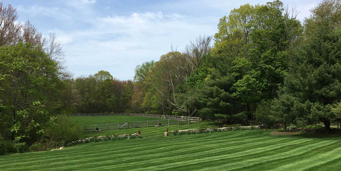 Washington Landscaping and Lawn Mowing Services