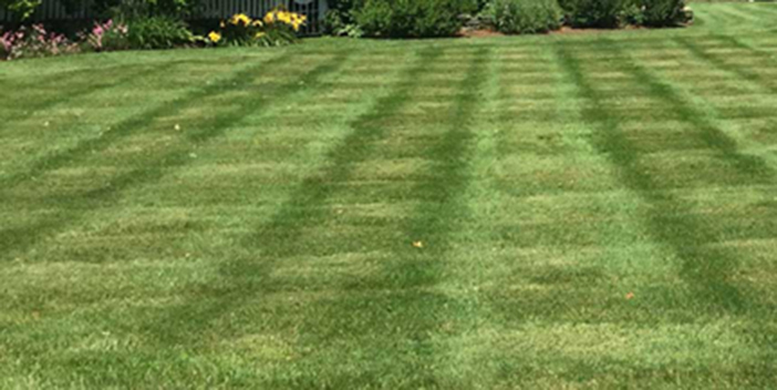 New Preston Landscaping and Lawn Mowing Services