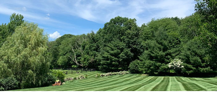 Watertown Landscaping and Lawn Mowing Services
